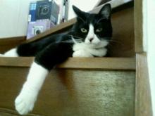 200608031504000.jpg