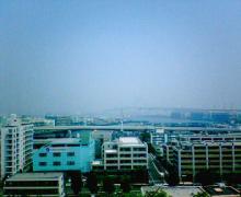 200608061137000.jpg