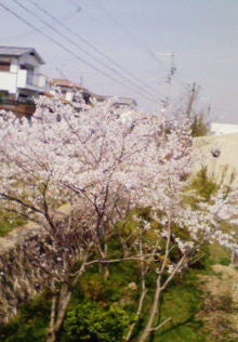 200804041121000.jpg