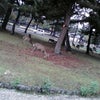 昨日のつづきの画像