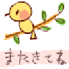 おはようございます♪の画像