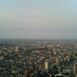 honeyの未来は・・・-20090214170623.jpg