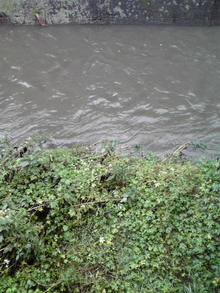 2008102410300000.jpg