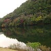 癒された～！！の画像