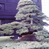 しっかりとの画像
