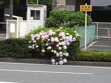 2008062514370000.jpg