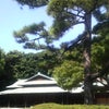 初★皇居跡の散歩の画像