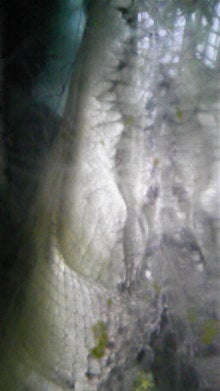 do-kanucchiさんのﾌﾞﾛｸﾞ-090224_150529.jpg