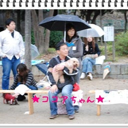 画像 【わんわん運動会！！ｉｎ２００８】part１♪ の記事より 10つ目