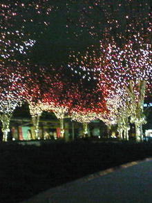 ミックスゼリー-200812161858000.jpg