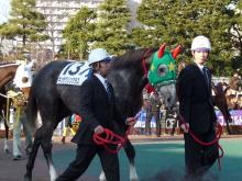 ウマキュン！！！-ギンザグリングラス