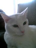 04-11-06_13-10.jpg