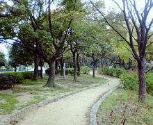 200704071152000.jpg