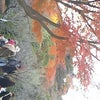 八幡宮の画像