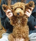 みんな　だいすき