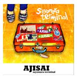 sayonara terminalの記事画像