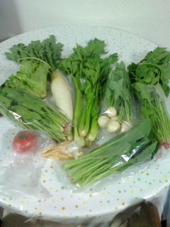 おいしい へるしい 無農薬・有機野菜！の記事画像