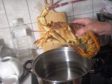 ぽんしゃん、ばぶやんの BUNCH OF LOVELY DAYS！！-lobster