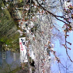 ﾊﾞｰﾄﾞ☆のぐだぐた日記-Image0641.jpg