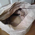 お届け物の記事より