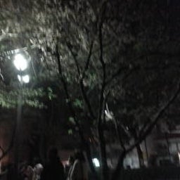 ☆水玉もよう☆-D1000227.jpg
