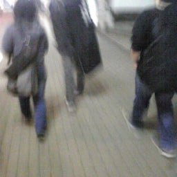 サリー日記-Image216.jpg