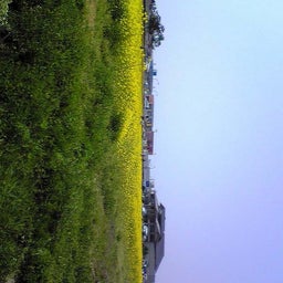ﾊﾞｰﾄﾞ☆のぐだぐた日記-Image0651.jpg