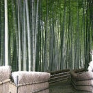 ２００９年桜旅行⑭化野念仏寺（ｱﾀﾞｼﾉﾈﾝﾌﾞﾂｼﾞ）その４の記事より