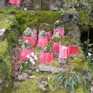 ２００９年桜旅行⑰愛宕念仏寺（ｵﾀｷﾞﾈﾝﾌﾞﾂｼﾞ） その3の記事より