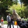 Ｓａｎ　Ｄｉｅｇｏ　Ｚｏｏの画像