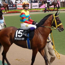 ウマキュン！！！-アグネストカチと藤岡佑介騎手