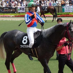 ウマキュン！！！-ファビラスボーイと後藤騎手