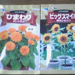 雷♪のまとまりない日記♪-090521_1443~01.jpg