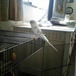 ハチブログ-Image1029.jpg