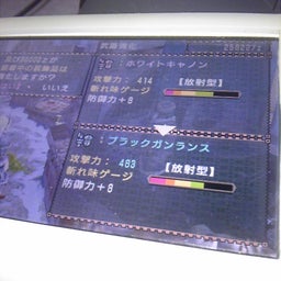 junの放置日記（仮）-DVC00092.jpg