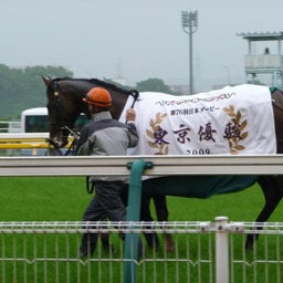 ウマキュン！！！-ダービー馬・ロジユニヴァース