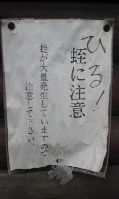 ハチのブログ-Image001.jpg