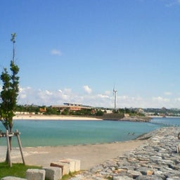 四神球-DSC00076.JPG