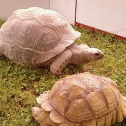♪毎日よしよし♪