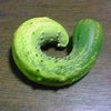 感動(*/ω＼*)の画像