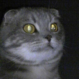 Jun×Jun☆ﾌﾞﾛｸﾞ-Image059.jpg
