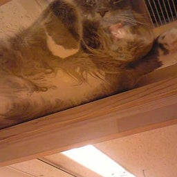 Jun×Jun☆ﾌﾞﾛｸﾞ-Image071.jpg