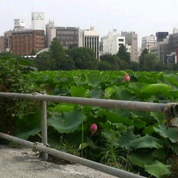 脚の向くまま気の向くまま-2009070619430000.jpg