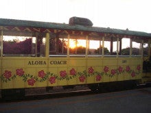 ホリデイアロハ ハワイ　スタッフのブログ-sunset