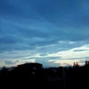グアムか？！。の画像