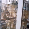 ★チキチータ★の画像