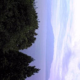 ﾊﾞｰﾄﾞ☆のぐだぐた日記-Image0701.jpg