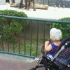 ☆ｚｏｏ☆の画像