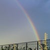 竜巻と虹の画像