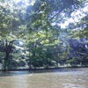 夏休みの画像